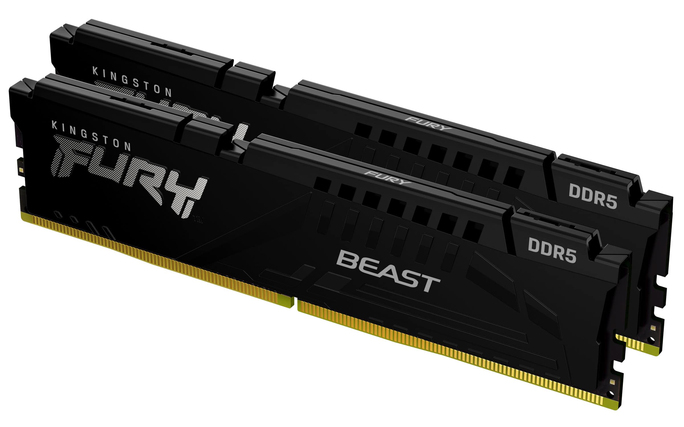 Kingston Technology FURY Beast 16GB 6000MT/s DDR5 CL30 DIMM (Kit of 2) Black EXPO (KF560C30BBEK2-16) thumbnail