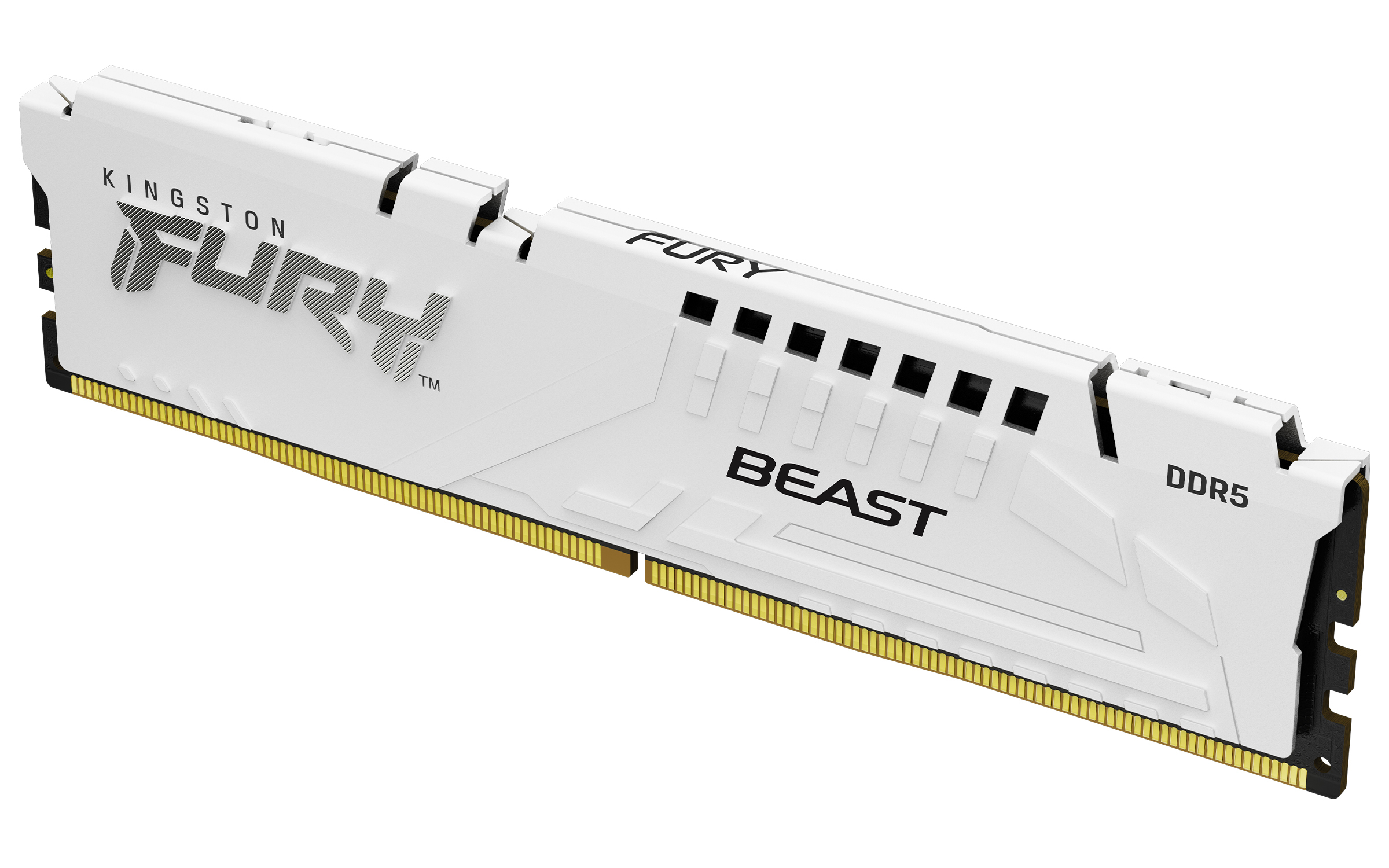 Kingston Technology FURY Beast 16GB 6000MT/s DDR5 CL30 DIMM White XMP (KF560C30BW-16) thumbnail