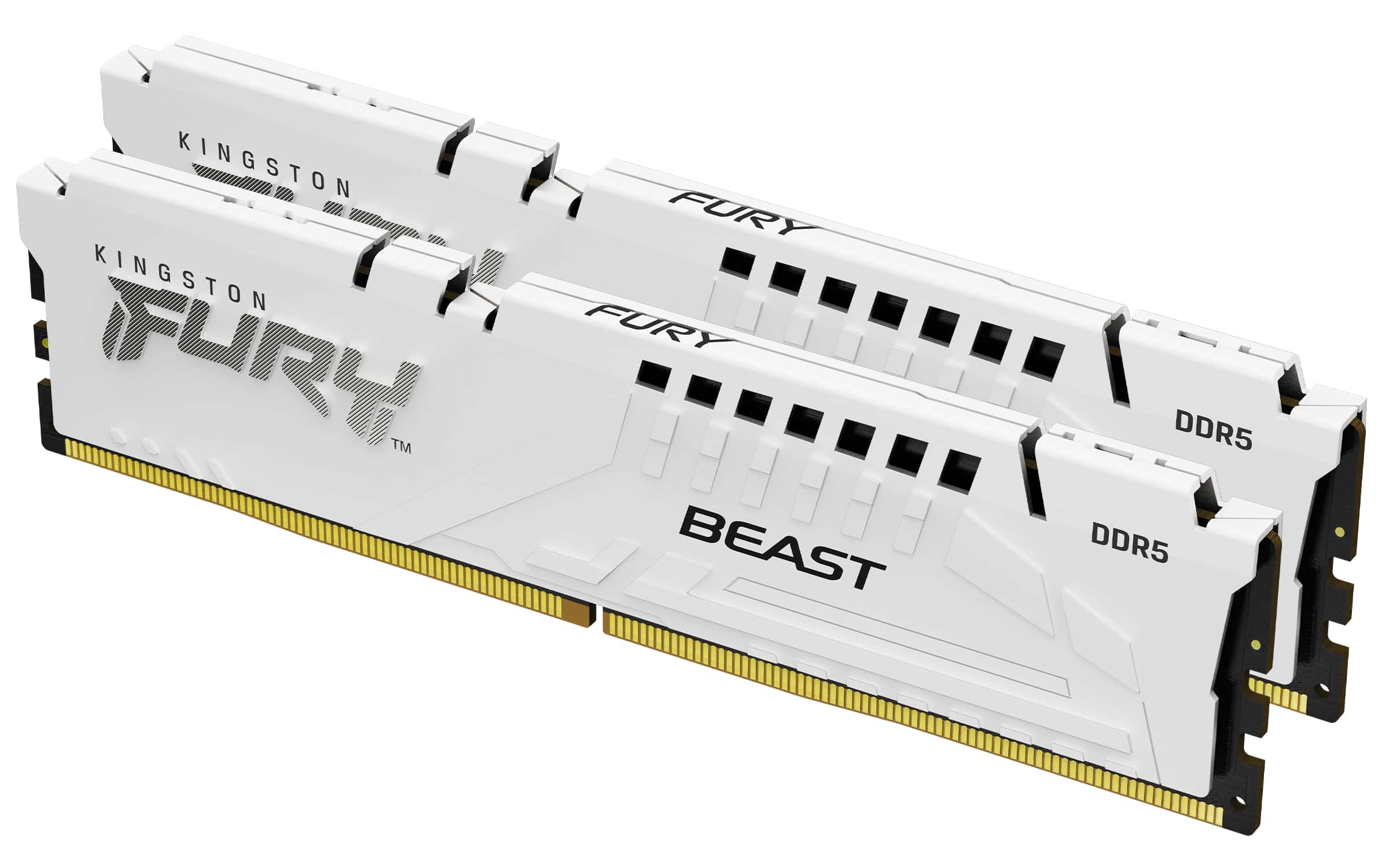 Kingston Technology FURY Beast 32GB 6400MT/s DDR5 CL32 DIMM (Kit of 2) White EXPO (KF564C32BWEK2-32) thumbnail