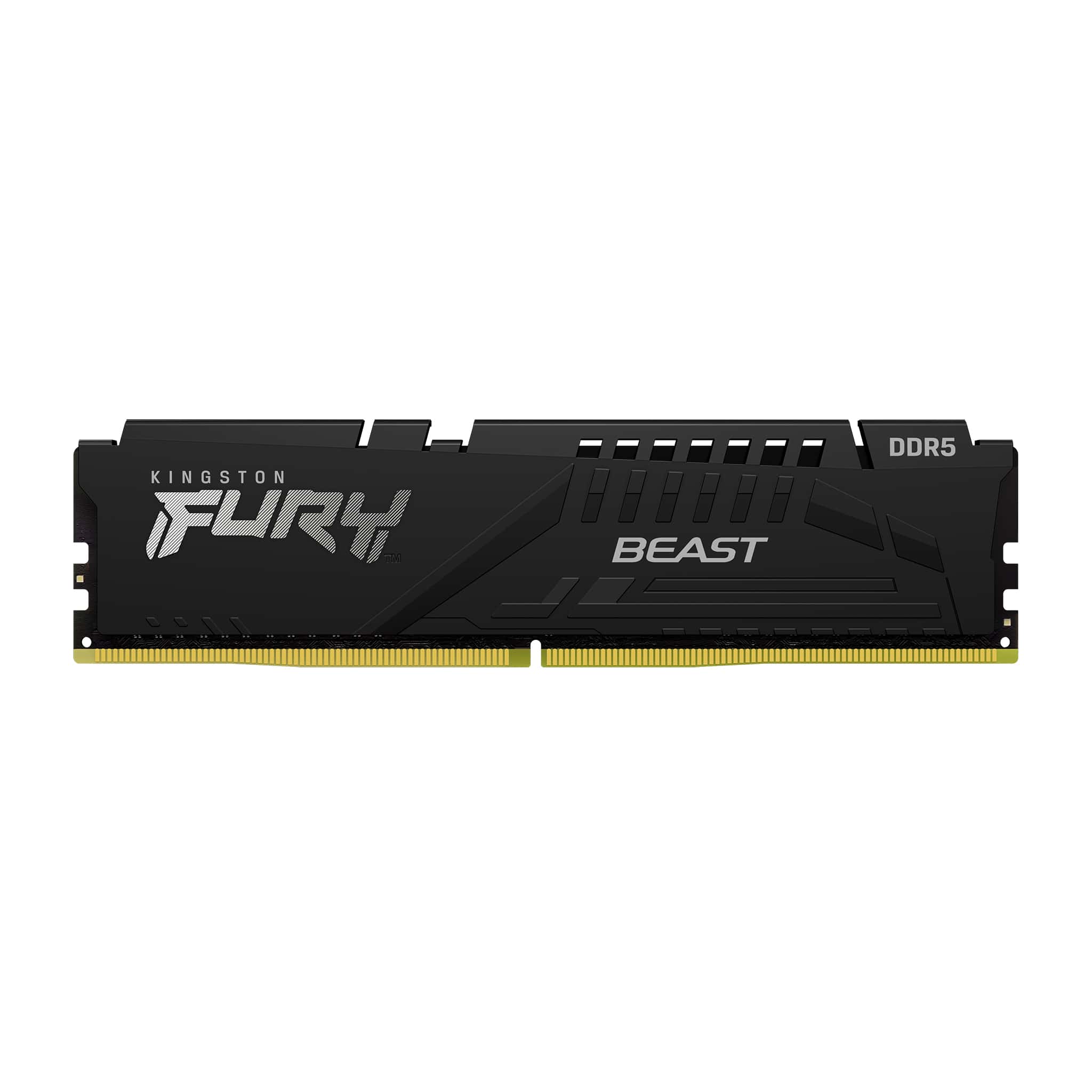 Kingston Technology FURY Beast geheugenmodule 16 GB 1 x 16 GB DDR5 4800 MHz (KF548C38BB-16) thumbnail