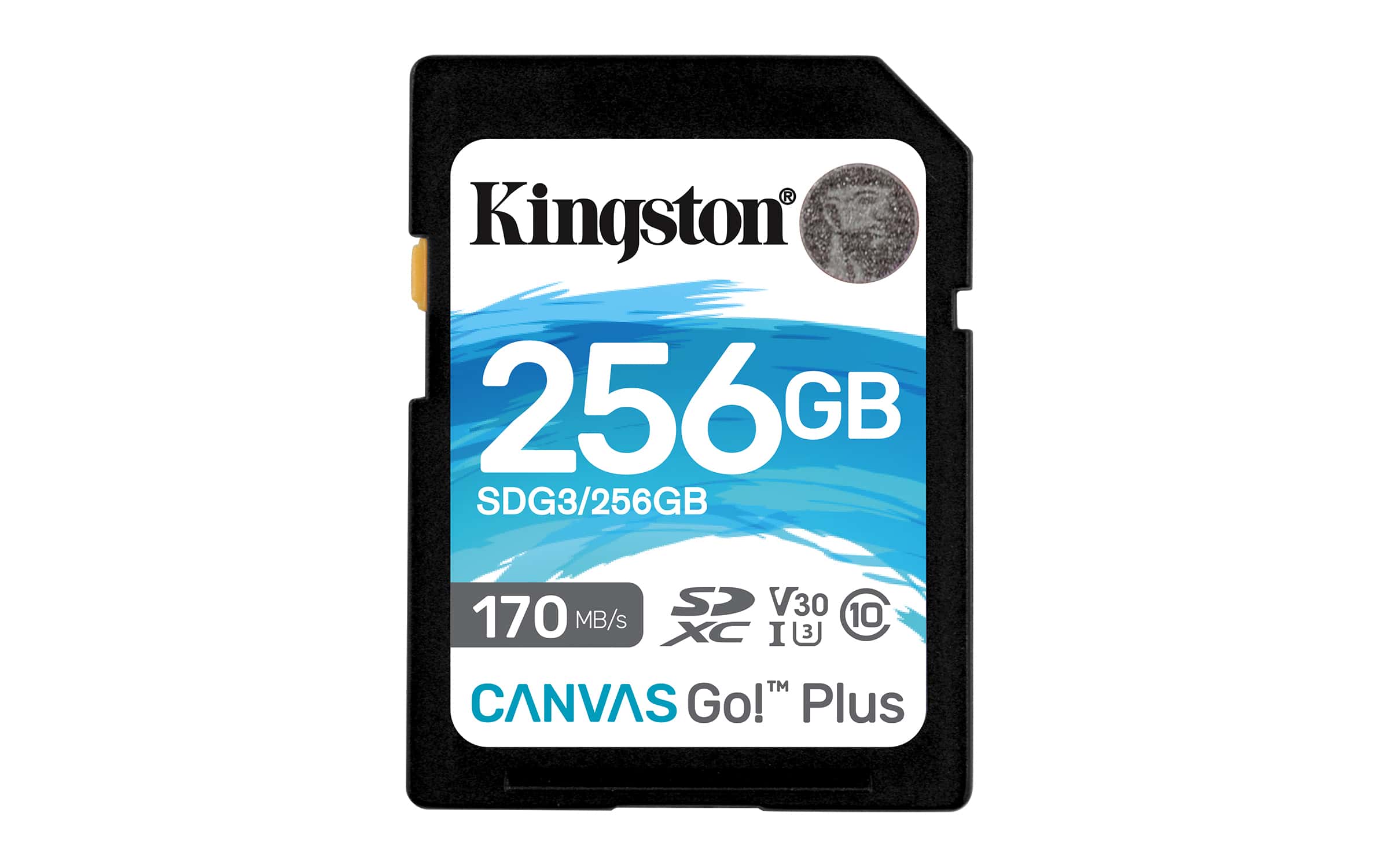 Kingston Technology Canvas Go! Plus 256 GB SD UHS-I Klasse 10 (SDG3/256GB) thumbnail