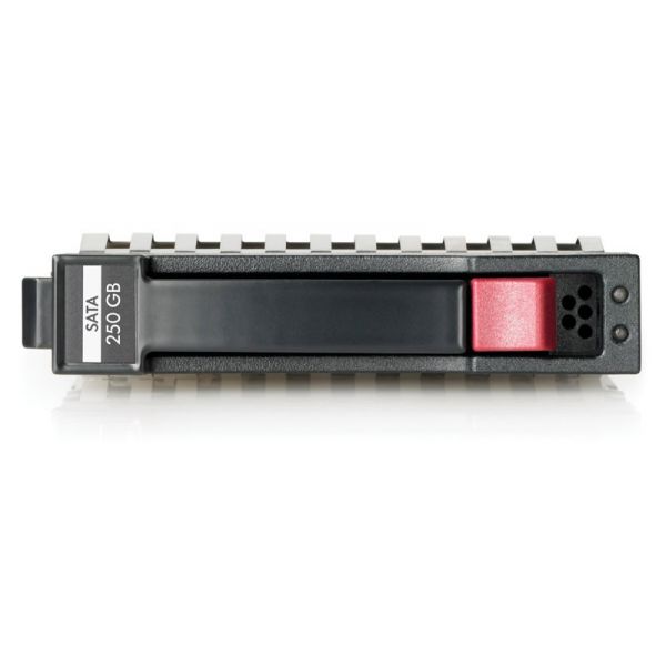 Hewlett Packard Enterprise 397553-001 interne harde schijf 3.5" 250 GB SATA (397553-001)