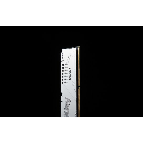 Kingston Technology FURY Beast 32GB 6000MT/s DDR5 CL30 DIMM White XMP (KF560C30BW-32)