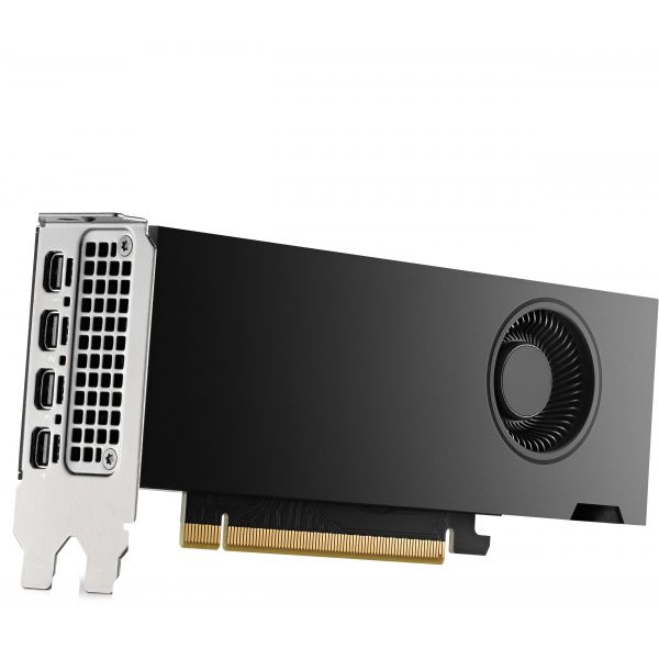 HP NVIDIA RTX PH x2xxx 4mDP Graphics