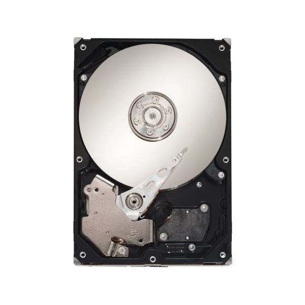 Seagate Cheetah 15K.6 300-GB interne harde schijf 300 GB 15000 RPM 16 MB SAS (ST3300656SS-RFB)