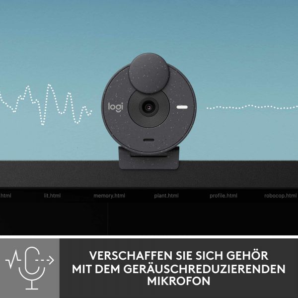 Logitech Brio 300 webcam 2 MP 1920 x 1080 Pixels USB-C Grafiet