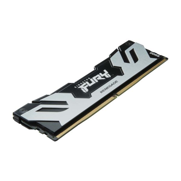 Kingston Technology FURY 64GB 6400MT/s DDR5 CL32 DIMM (set van 2) Renegade Zilver XMP (KF564C32RSK2-64)