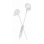 Philips TAE5008WT/00 hoofdtelefoon/headset Bedraad In-ear Oproepen/muziek USB Type-C Wit (TAE5008WT/00) thumbnail