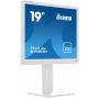 iiyama ProLite B1980D-W5 computer monitor 48,3 cm (19") 1280 x 1024 Pixels SXGA LCD Wit (B1980D-W5) thumbnail